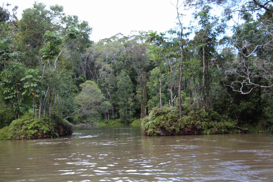 アーミーダック その2 アーミーダック その2