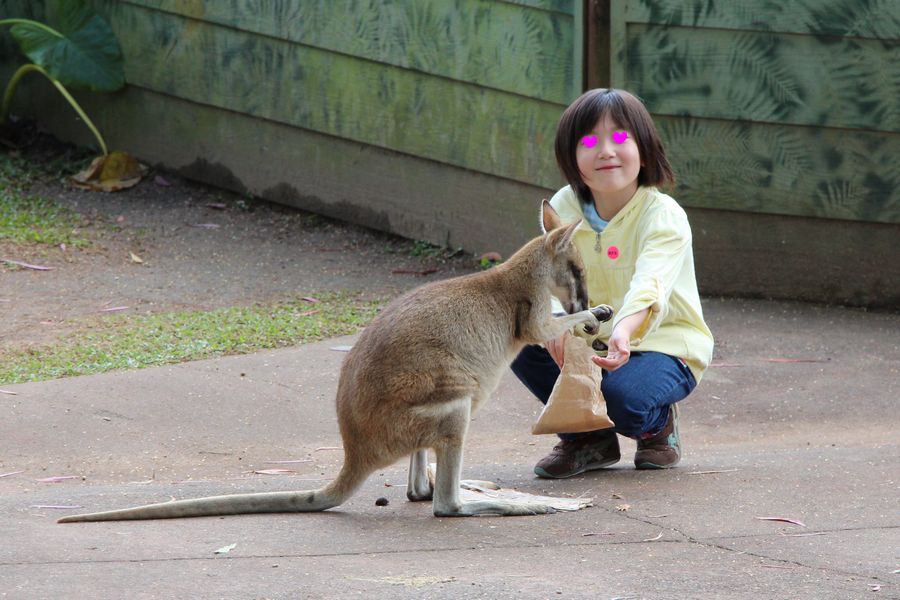 動物園 その2 動物園 その2