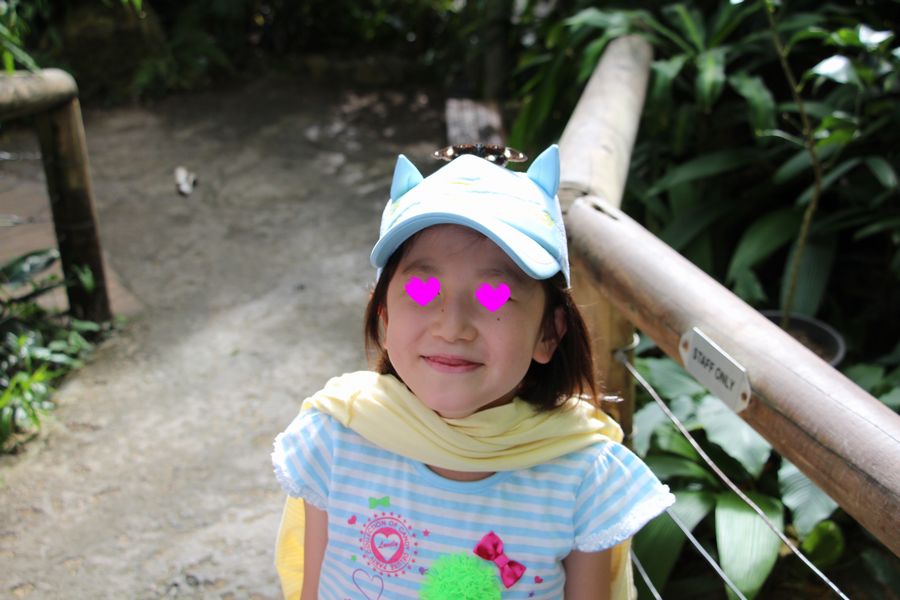 蝶園 その1 蝶園 その1