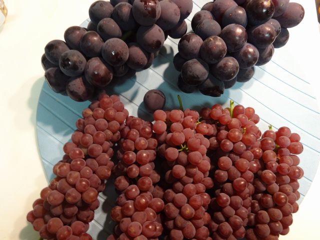 お土産 その2 お土産 その2