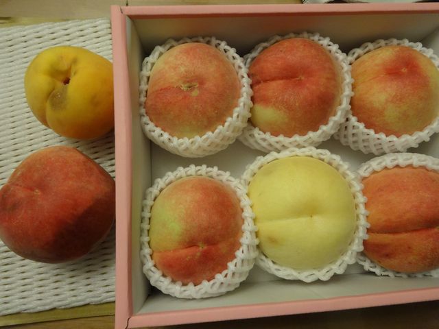 お土産 その1 お土産 その1