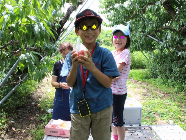 桃狩り その1 桃狩り その1