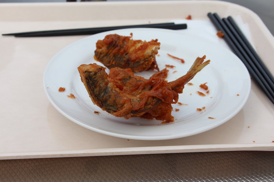 アクアマリンふくしま その8 アクアマリンふくしま その8