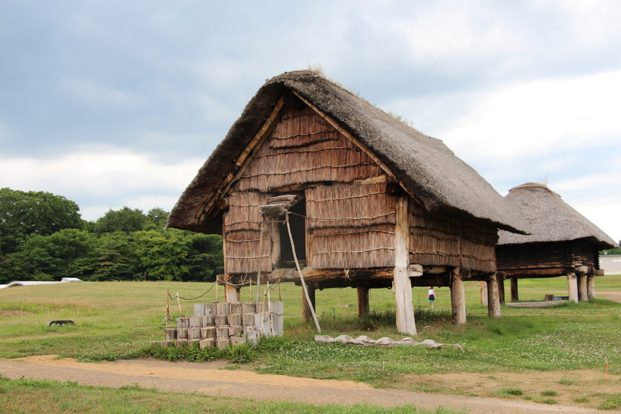 三内丸山遺跡 その4 三内丸山遺跡 その4