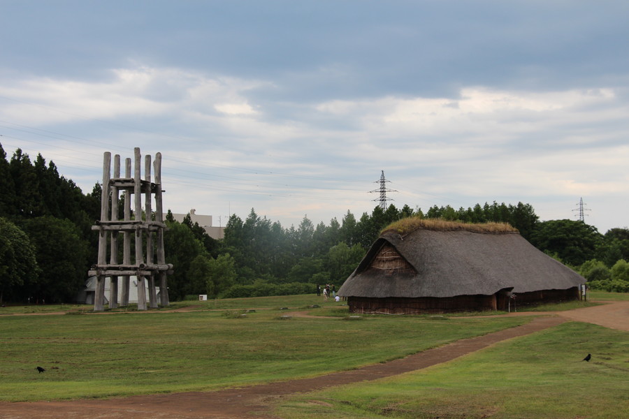 三内丸山遺跡 その2 三内丸山遺跡 その2