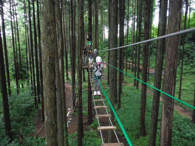 フォレストアドベンチャー小田原 その2 フォレストアドベンチャー小田原 その2