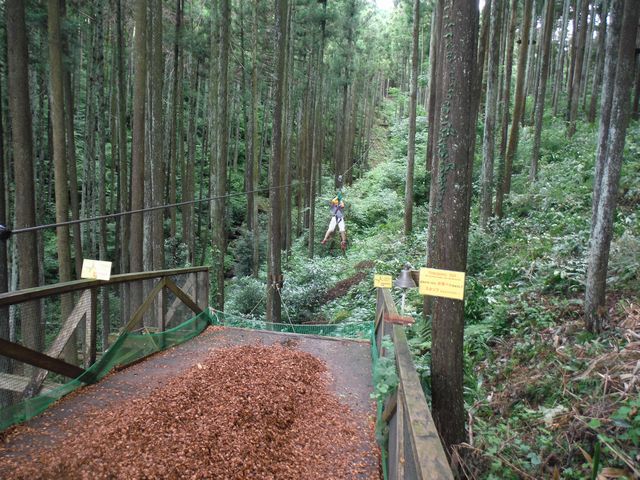 フォレストアドベンチャー小田原 その6 フォレストアドベンチャー小田原 その6