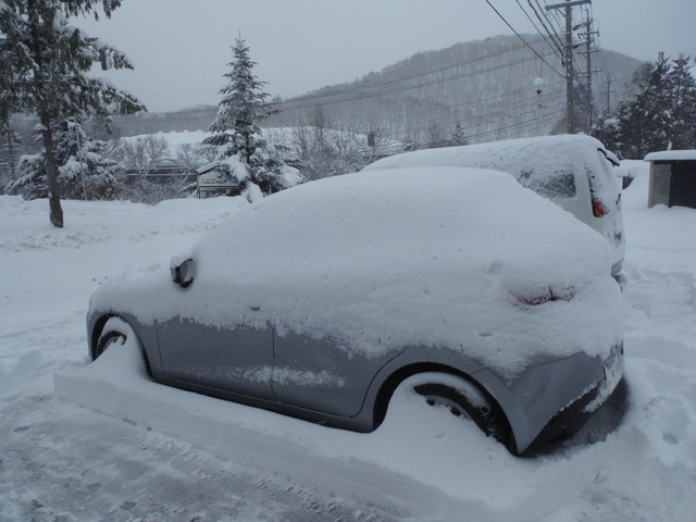 レンタカー レンタカー
