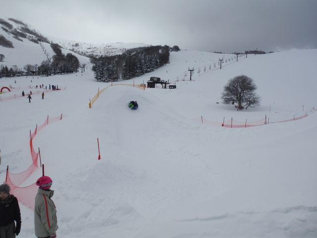 チューブ 《とり》 チューブ 《とり》