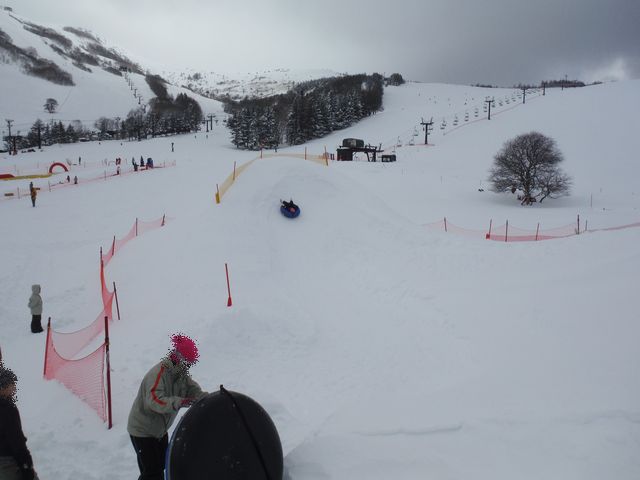 チューブ 《いぬ》 チューブ 《いぬ》