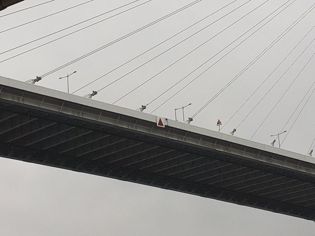 ダイヤモンドブリッジ ダイヤモンドブリッジ