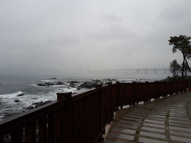 ヌリマル ヌリマル