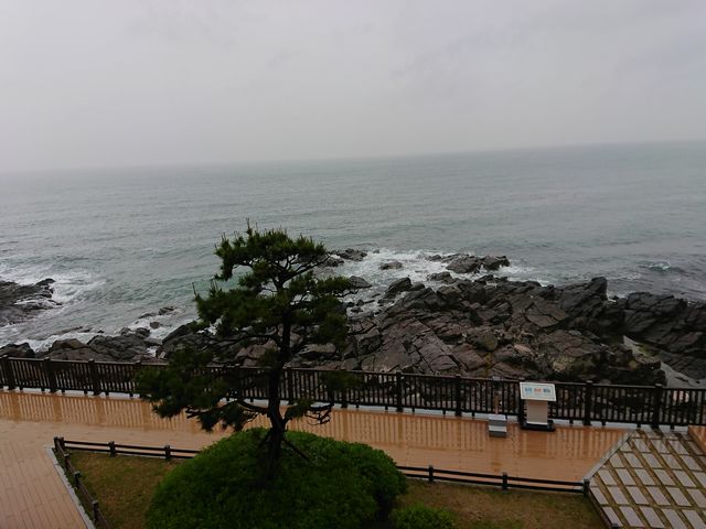 ヌリマル ヌリマル