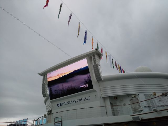 鯉のぼり 鯉のぼり