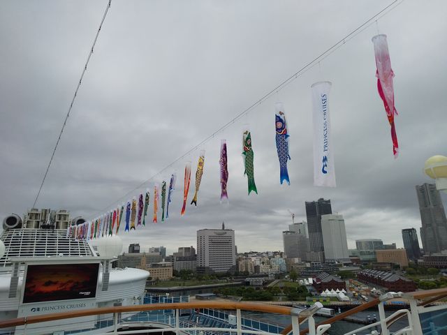 鯉のぼり 鯉のぼり