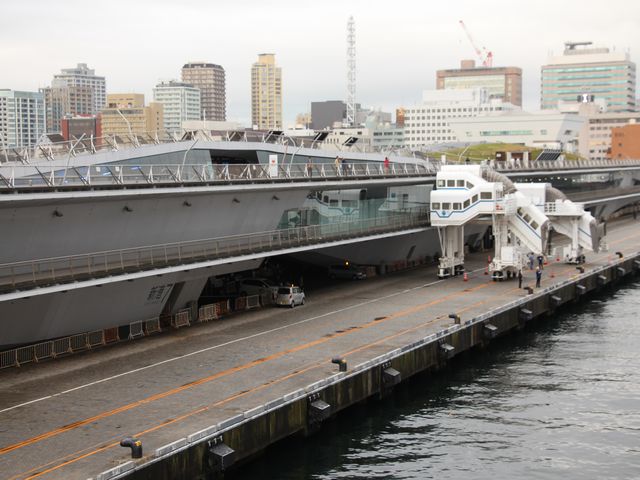 大さん橋 大さん橋