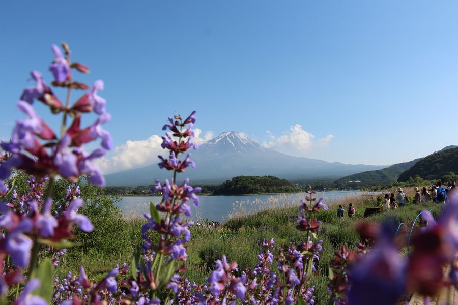大石公園 その1 大石公園 その1