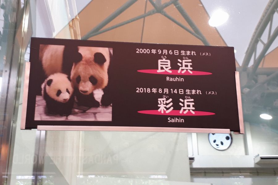 パンダ その1 パンダ その1