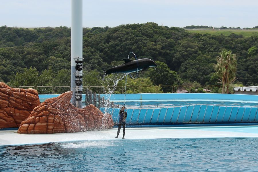 マリンライブ その2 マリンライブ その2