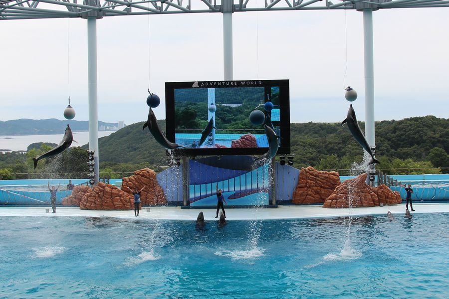 マリンライブ その3 マリンライブ その3