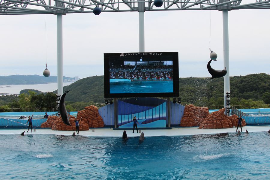 マリンライブ その4 マリンライブ その4