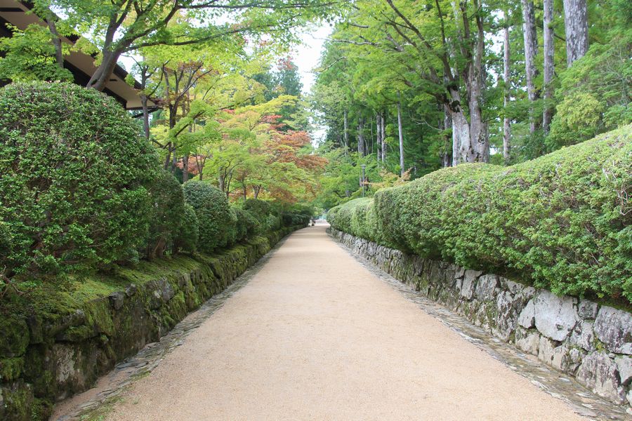 壇上伽藍 その1 壇上伽藍 その1