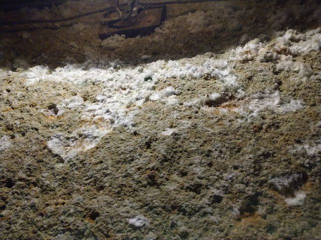 大谷資料館 その5 大谷資料館 その5