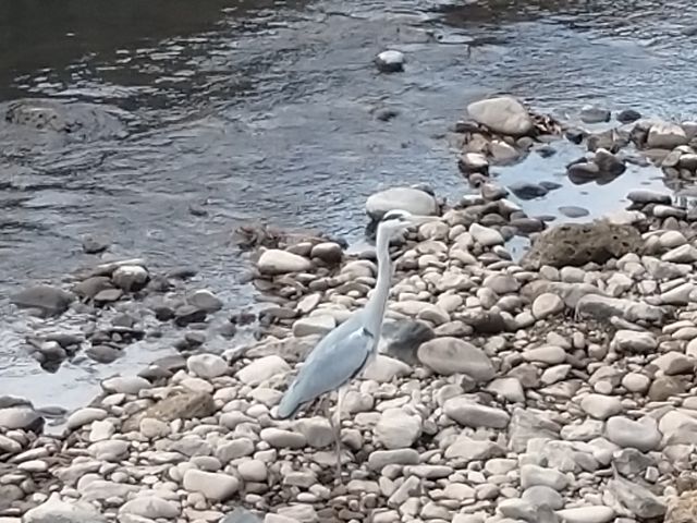 大谷資料館 その6 大谷資料館 その6