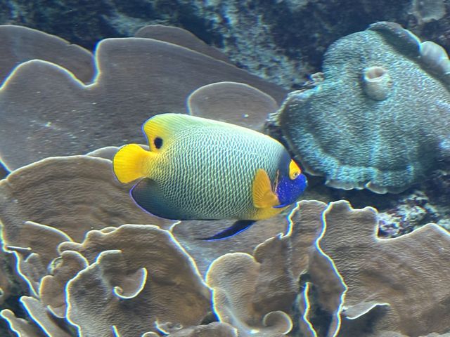 美ら海水族館 その1 美ら海水族館 その1