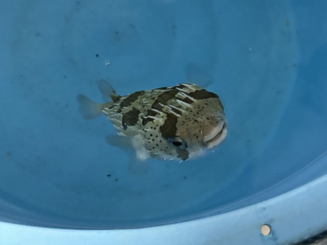 バックヤードツアー その5 バックヤードツアー その5