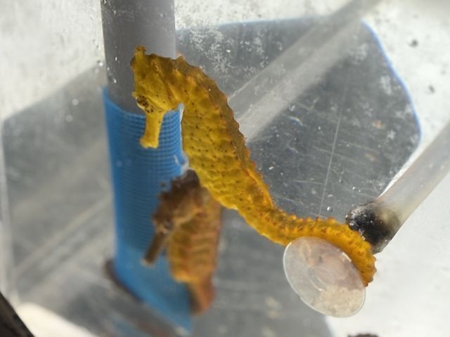 バックヤードツアー その7 バックヤードツアー その7