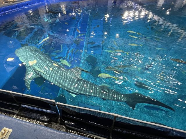 バックヤードツアー その1 バックヤードツアー その1