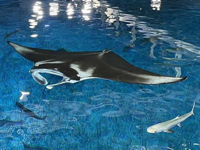 バックヤードツアー その2 バックヤードツアー その2