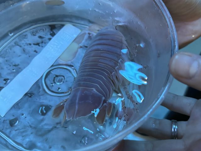 バックヤードツアー その9 バックヤードツアー その9