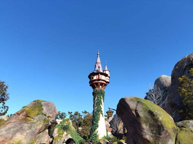 ラプンツェルの森 ラプンツェルの森