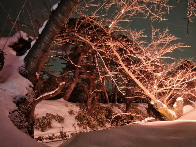 弘前雪まつり その2 弘前雪まつり その2