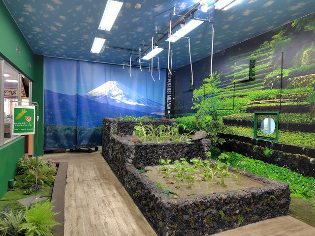 伊豆わさびミュージアム その2 伊豆わさびミュージアム その2