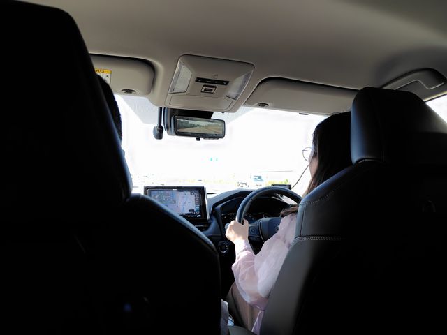 《いぬ》の運転