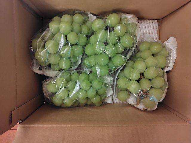 シャインマスカット