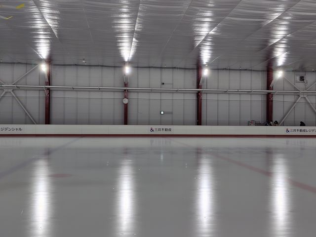 フィギュアスケート その2 フィギュアスケート その2