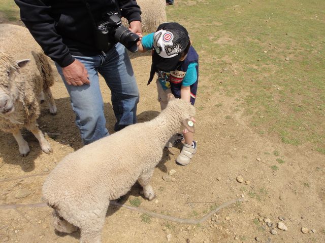 おおさか府民牧場 その3
