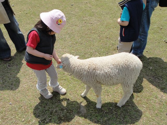 おおさか府民牧場 その4