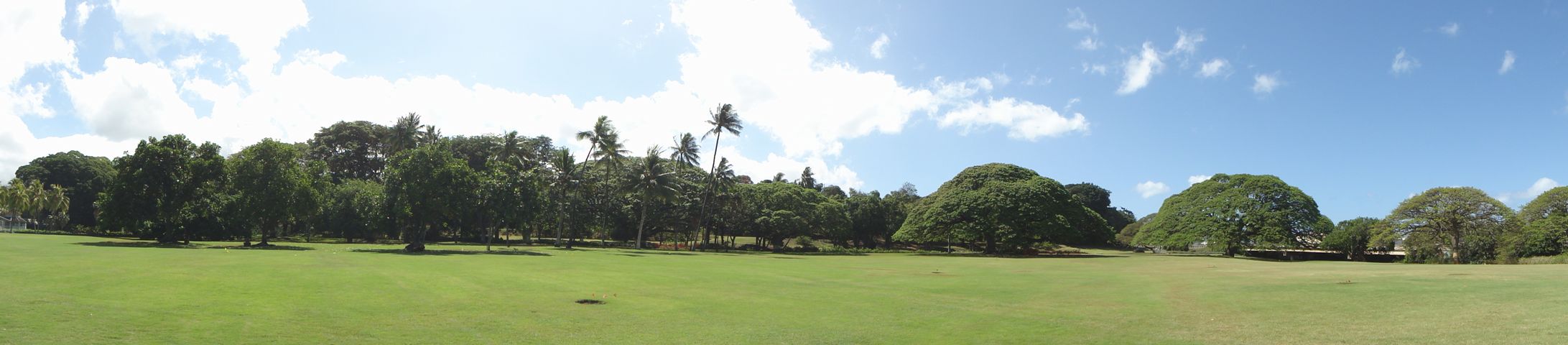 モアナルアガーデン その2