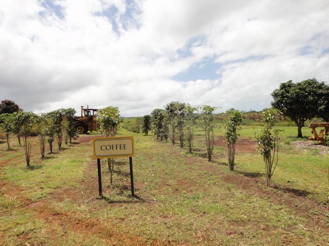 パイナップルエクスプレス その2