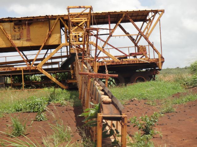 パイナップルエクスプレス その5