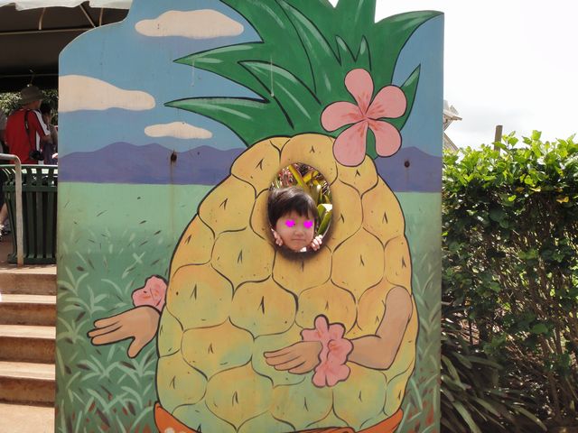 ドール・プランテーション その5