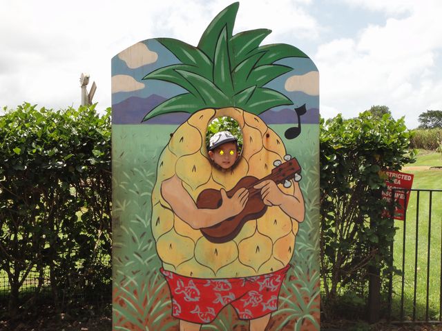 ドール・プランテーション その4