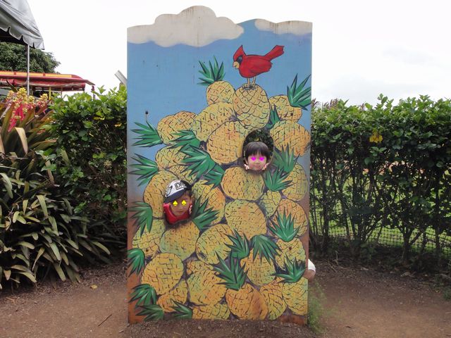 ドール・プランテーション その6