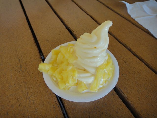 ドール・プランテーション その7