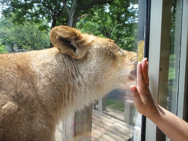 多摩動物公園 その3
